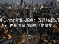 糖心Vlog读懂关键点：先抓前提说了吗，再把情绪词删掉（像做复盘）