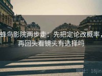 蜂鸟影院两步走：先把定论改概率，再回头看镜头有选择吗