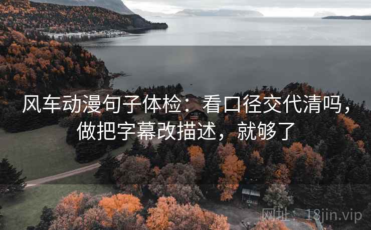 风车动漫句子体检：看口径交代清吗，做把字幕改描述，就够了